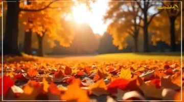 أيام قليلة تفصلنا.. موعد انتهاء فصل الصيف وبداية الاعتدال الخريفي رسميًا 1